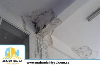 عفن الجدران وكيفية التخلص منه